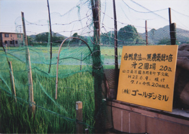 合鴨農法のイメージ